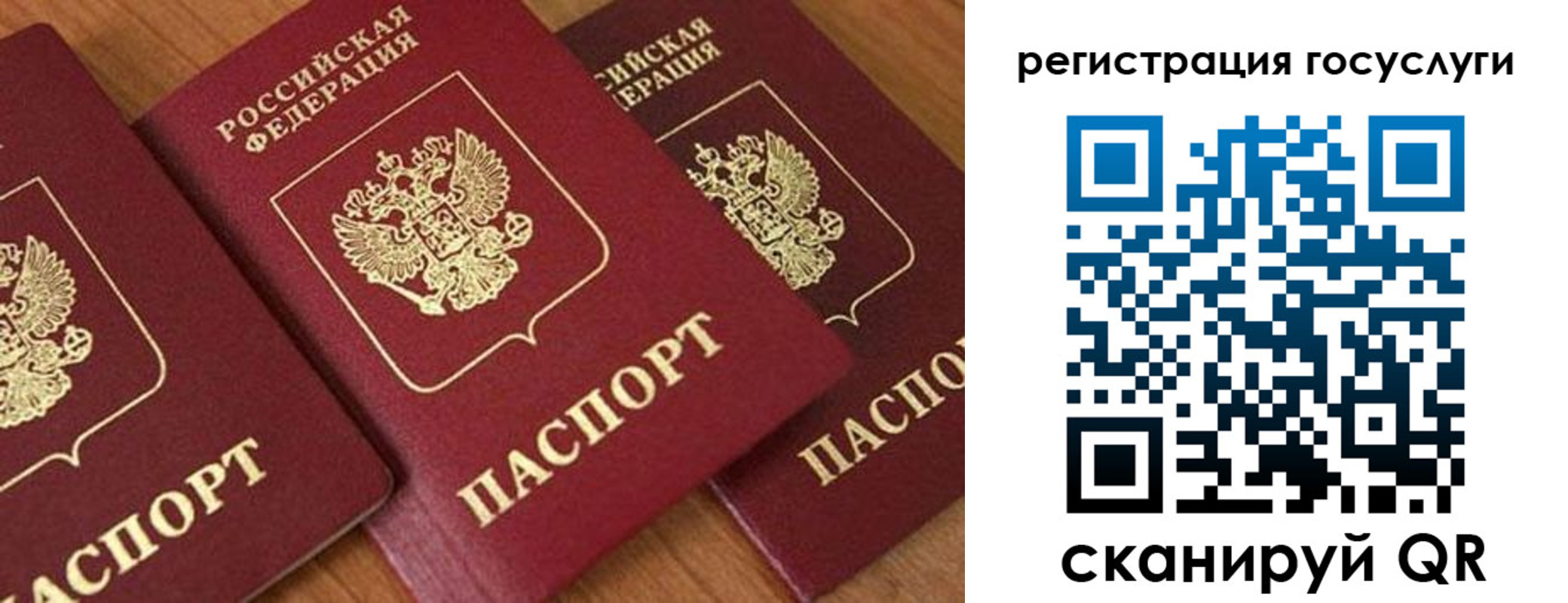 временная регистрация гарантия в Невеле